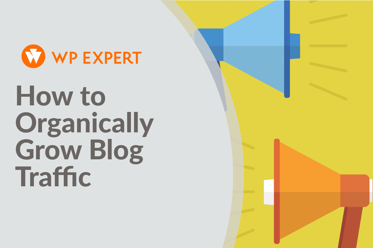 How to Organically Grow Blog Traffic