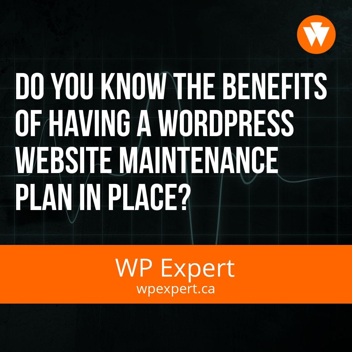 Do you know the benefits of Having a WordPress Website Maintenance Plan in Place